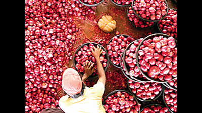 Maharashtra: Fresh summer onions arrive at Lasalgaon, slight rise in prices