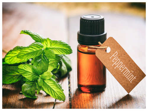 Differences between peppermint and spearmint - Hey Big Splendor