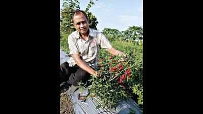 This farmer grew his agri-business ‘organically’