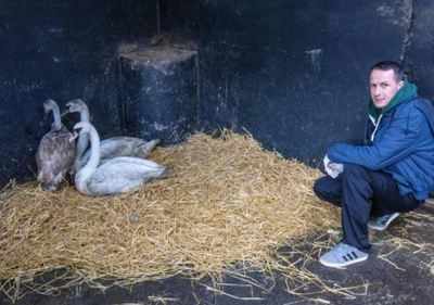 Locked-down pub becomes Ireland's first wildlife hospital