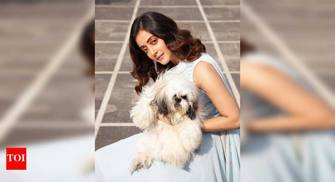 Here’s why Shih Tzus are so popular among celebs Kolkata News Times of India