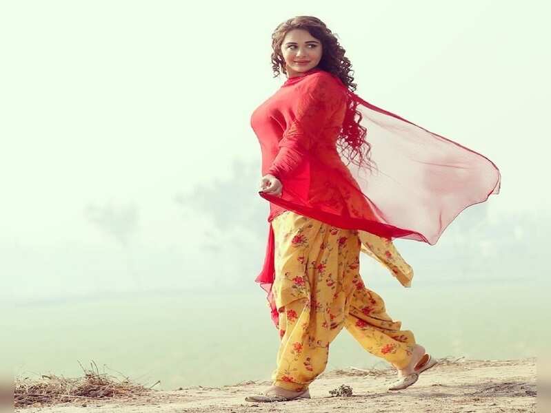 punjabi ethnic wear