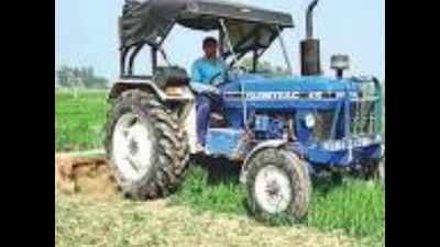Farmers from two Haryana districts destroy standing crop