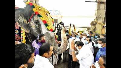 Consider prohibition of private ownership of elephants by temples and individuals, Madras high court suggests