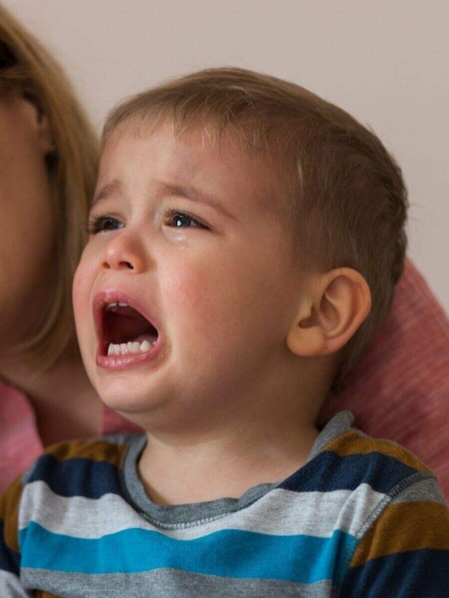 How to prevent tantrums in toddlers Times of India