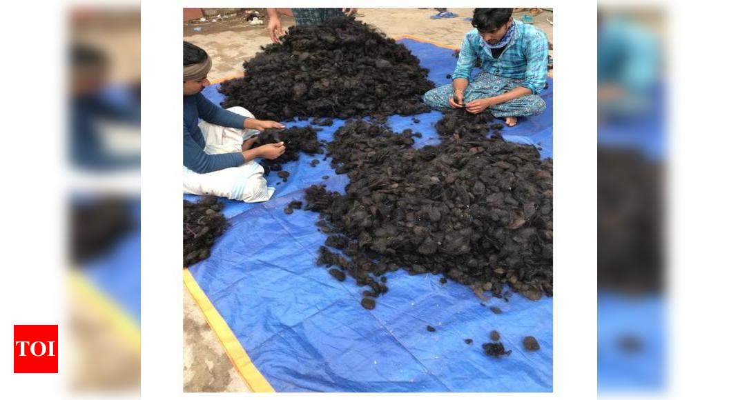 India is 'losing' over Rs 150 crore a year to human hair smuggling | India  News - Times of India
