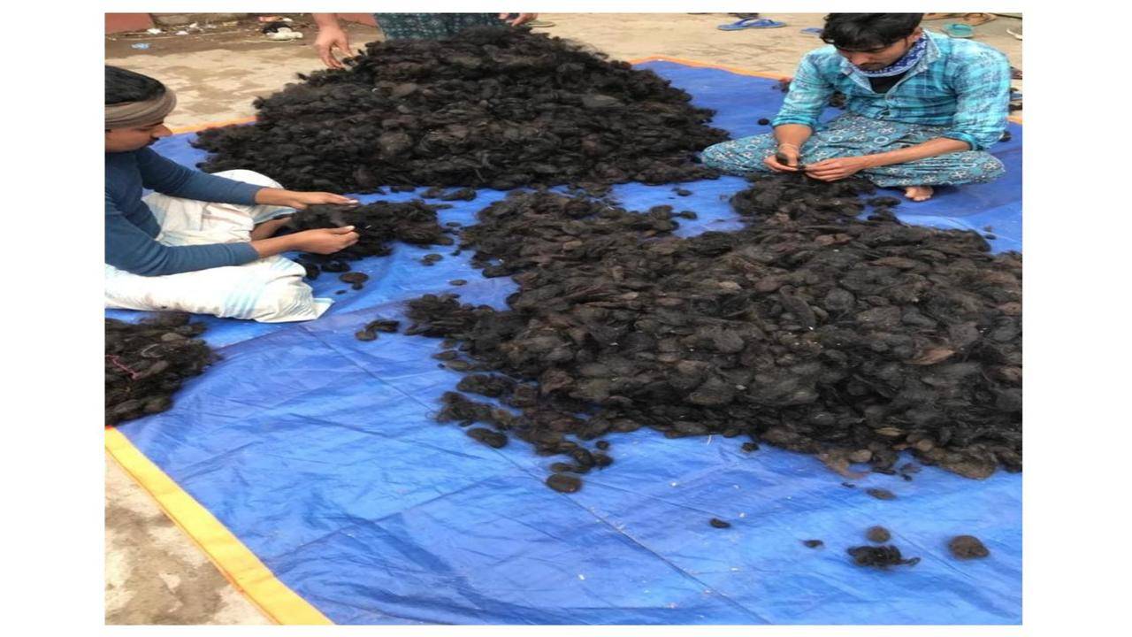 India is losing over Rs 150 crore a year to human hair smuggling