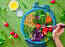 How plant-based diet can give you nutrition with least environmental impact