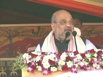 Amit Shah says will fulfil all promises made to surrendered Karbi militants