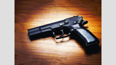 MP: Guns, bombs & Rs 10 lakh cash vanish from Katni district court ‘malkhana’