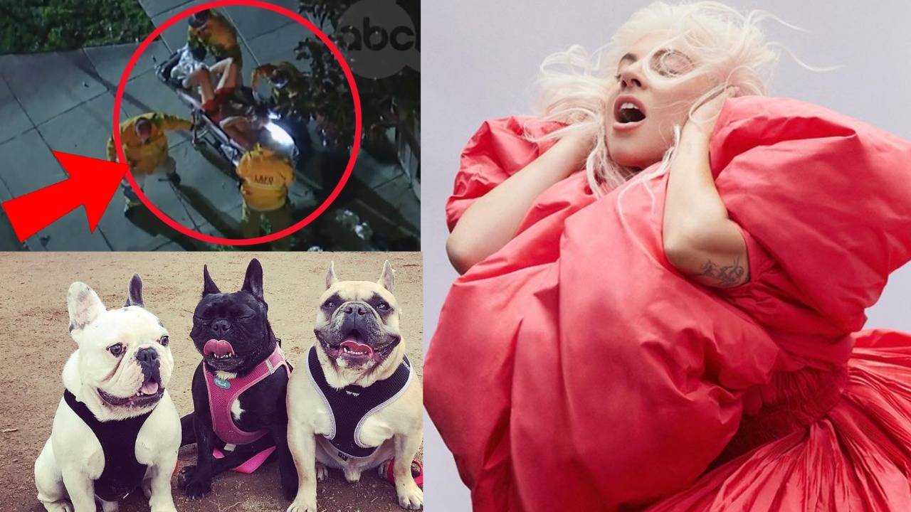 Lady Gaga shows off French bulldogs on custom Louis Vuitton