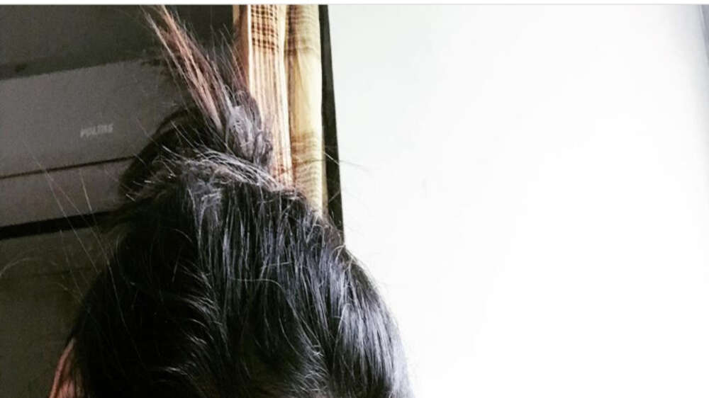 Here’s why Shih Tzus are so popular among celebs The Times of India