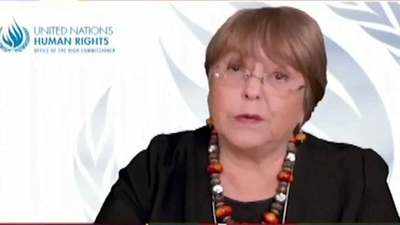 Michelle Bachelet's remark on farmer's stir partial: India