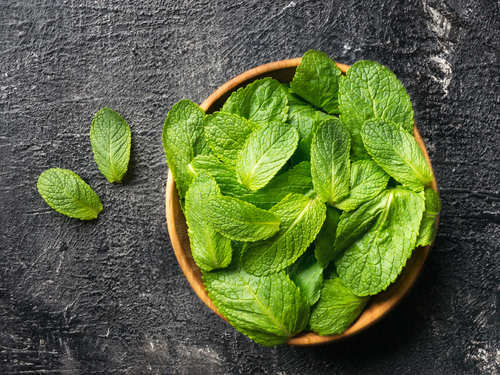 10 health benefits of mint leaves