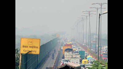 Delhi ignored pollution hotspots in plantation drives, claims study
