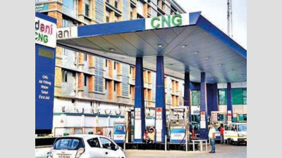 Gujarat companies lead CNG station surge