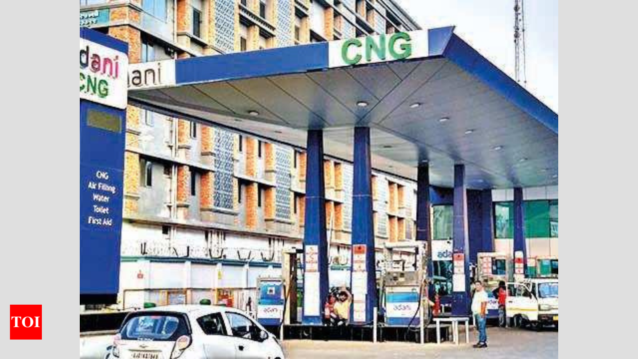 Gujarat companies lead CNG station surge Ahmedabad News Times