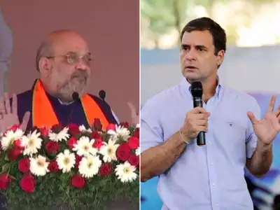 'You were on vacation then': Amit Shah slams Rahul Gandhi for fisheries ministry remark