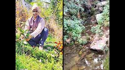 Mann ki Baat: PM mentions Bageshwar farmer, 55, who revived dead spring