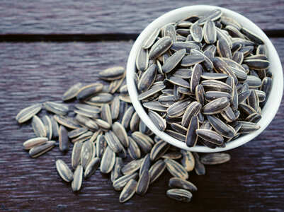 Sunflower seeds: Health benefits and how to eat