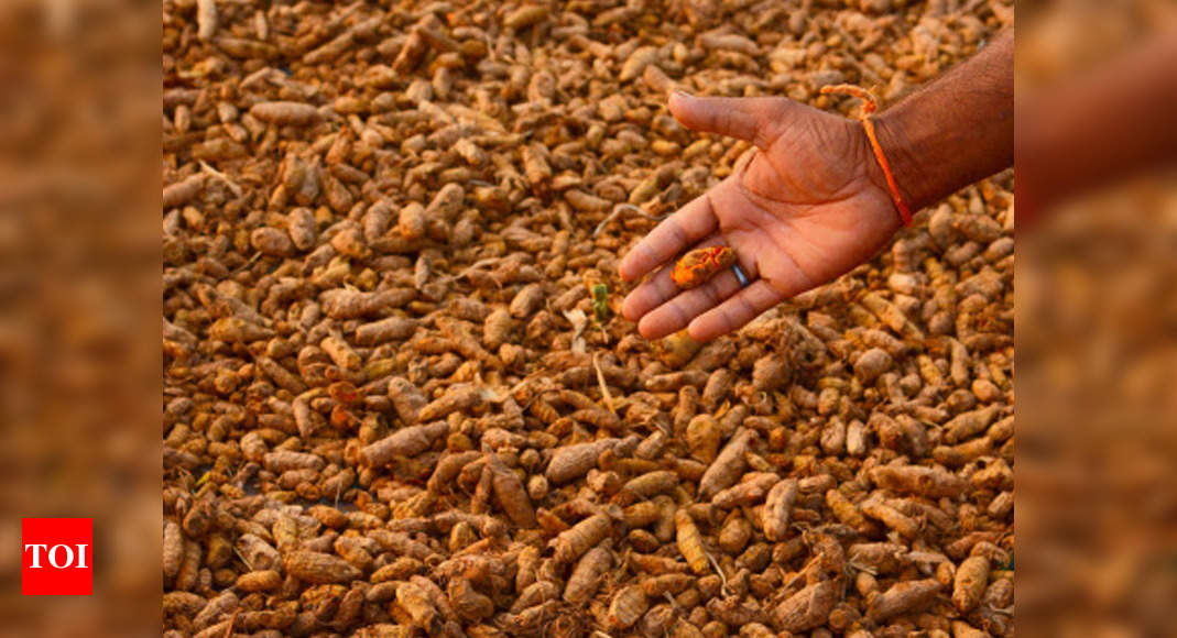 maharashtra-one-crop-one-produce-scheme-prefers-turmeric-over-tur-in