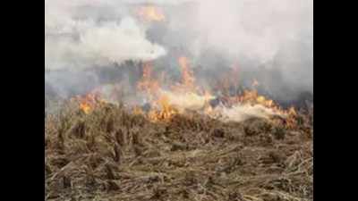‘Punitive action against farmers burning stubble’