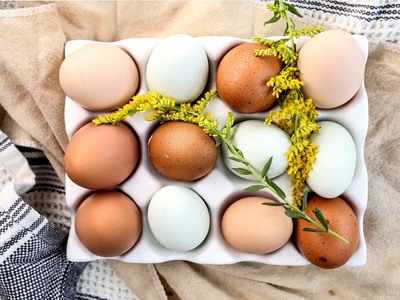 Store eggs easily with these egg trays & baskets