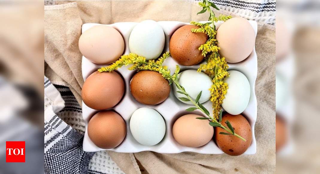 Hot Sale-chicken Egg Baskets For Fresh Eggs, Wire Egg Collection Basket,  Ceramic Fresh Egg Holders Countertop