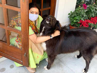 Smriti Irani posts an adorable picture with her pet; jokes, 'When sadda kutta is not ‘Tommy’ but Sheru'