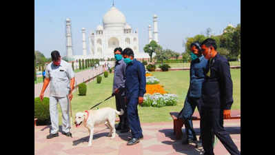 UP: Taj shut for 2 hours after 'hoax' bomb threat by 'mentally unstable' caller, 400 tourists evacuated; accused held