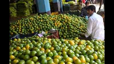 Unseasonal rains make oranges as costly as apples, Rs150-200 a doz