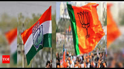 Kanyakumari Lok Sabha byelection: It’s a face-off between Congress and BJP