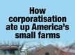 
How corporatisation ate up America’s small farms
