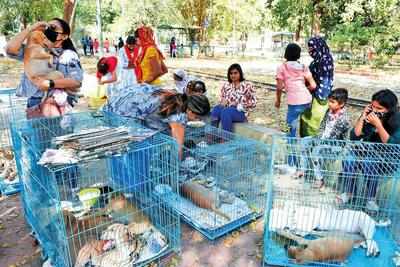 Animal centres near sales me