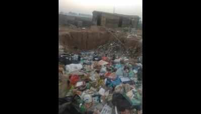 Dumping, burning of waste rampant in Sector 81: Residents