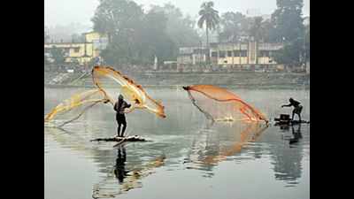 PM fish rearing scheme attracts many in Katihar