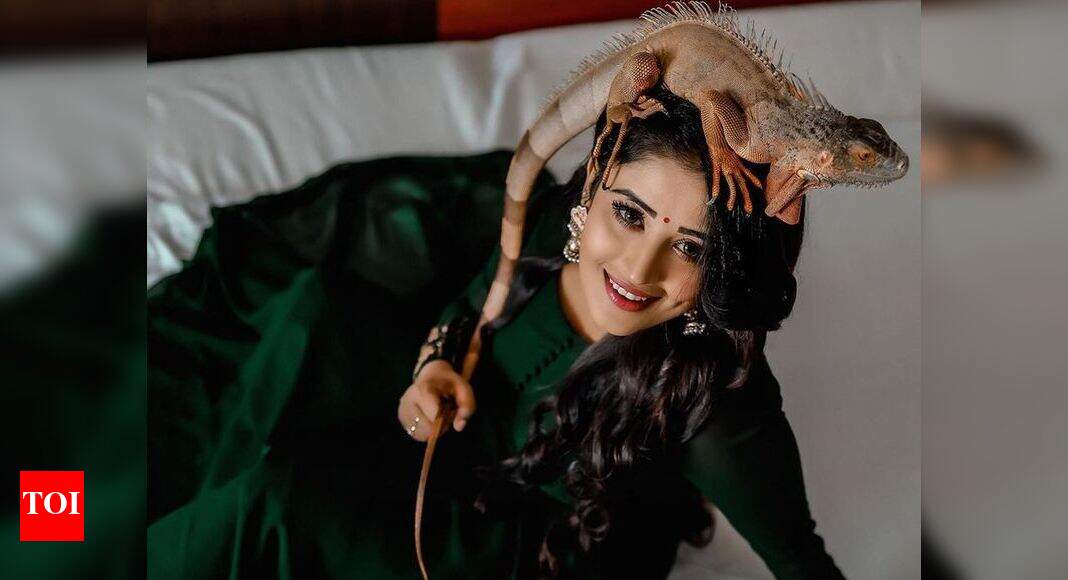 star-magic-fame-anumol-shares-a-glimpse-of-her-latest-photoshoot