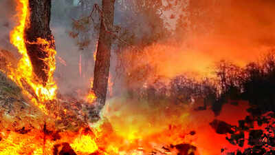 Similipal forest fire: Blaze almost under control, claims state govt; Central team takes stock of damage