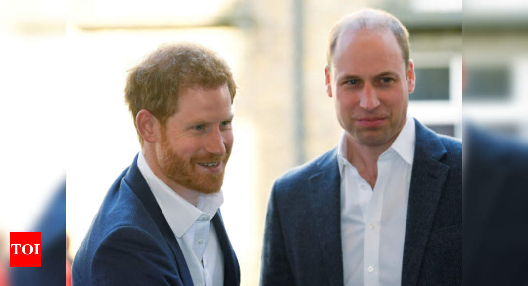 Prince Harry Prince William To Reunite At Princess Diana Memorial