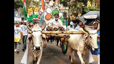 Bullock cart latest prop on Kolkata political stage