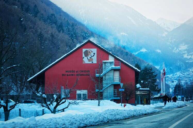 Mus&eacute;e et Chiens du Saint-Bernard Martigny, Switzerland 