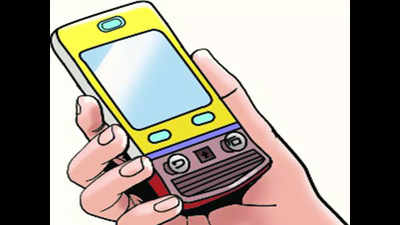 Panchkula residents told to download e-Sanjeevani app for tele-consultation