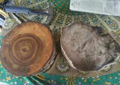 Scientists begin Jharkhand digging to go deep into Aus-India split
