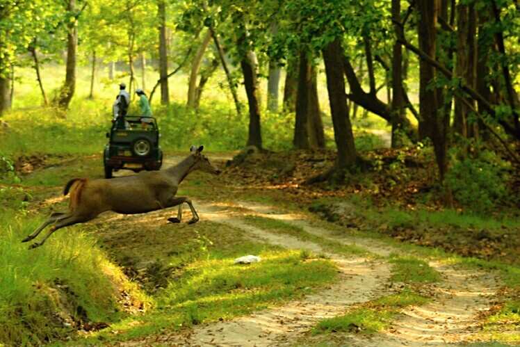Kanha National Park