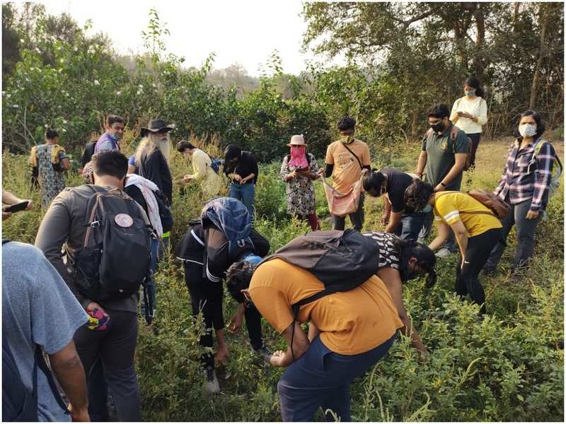 Mumbaikars have fun foraging at Aarey, learn about forest life