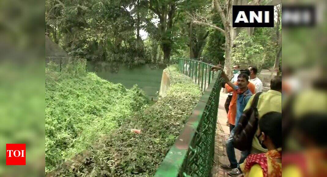 timesofindia.indiatimes.com