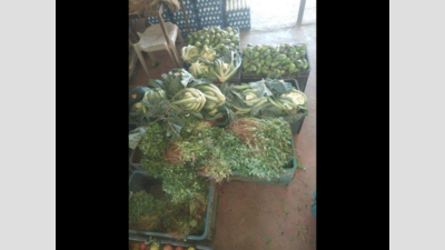 No buyers due to lockdown curbs, farmers dump veggies, give it free