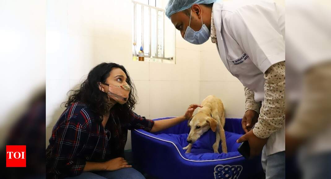 Swara Bhasker takes ailing stray dog to rescue and treatment centre in