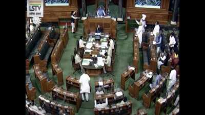 Lok Sabha passes bill that seeks to clarify that 'govt' in Delhi means 'LG'