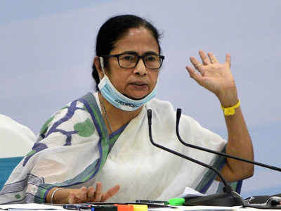 BJP hired goons to threaten voters, party making tall claims before polls: Mamata